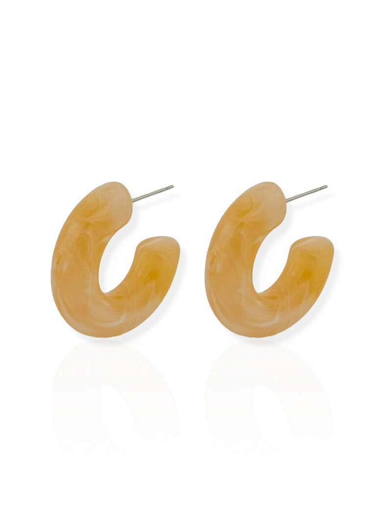 Brinco Argola Resinada P