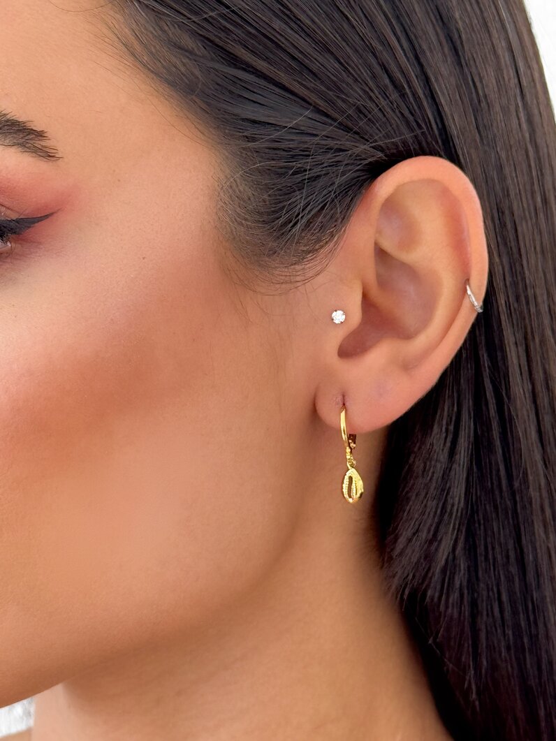 Brincos Folheado a Ouro 18k e Prata 925 Argola Búsios P