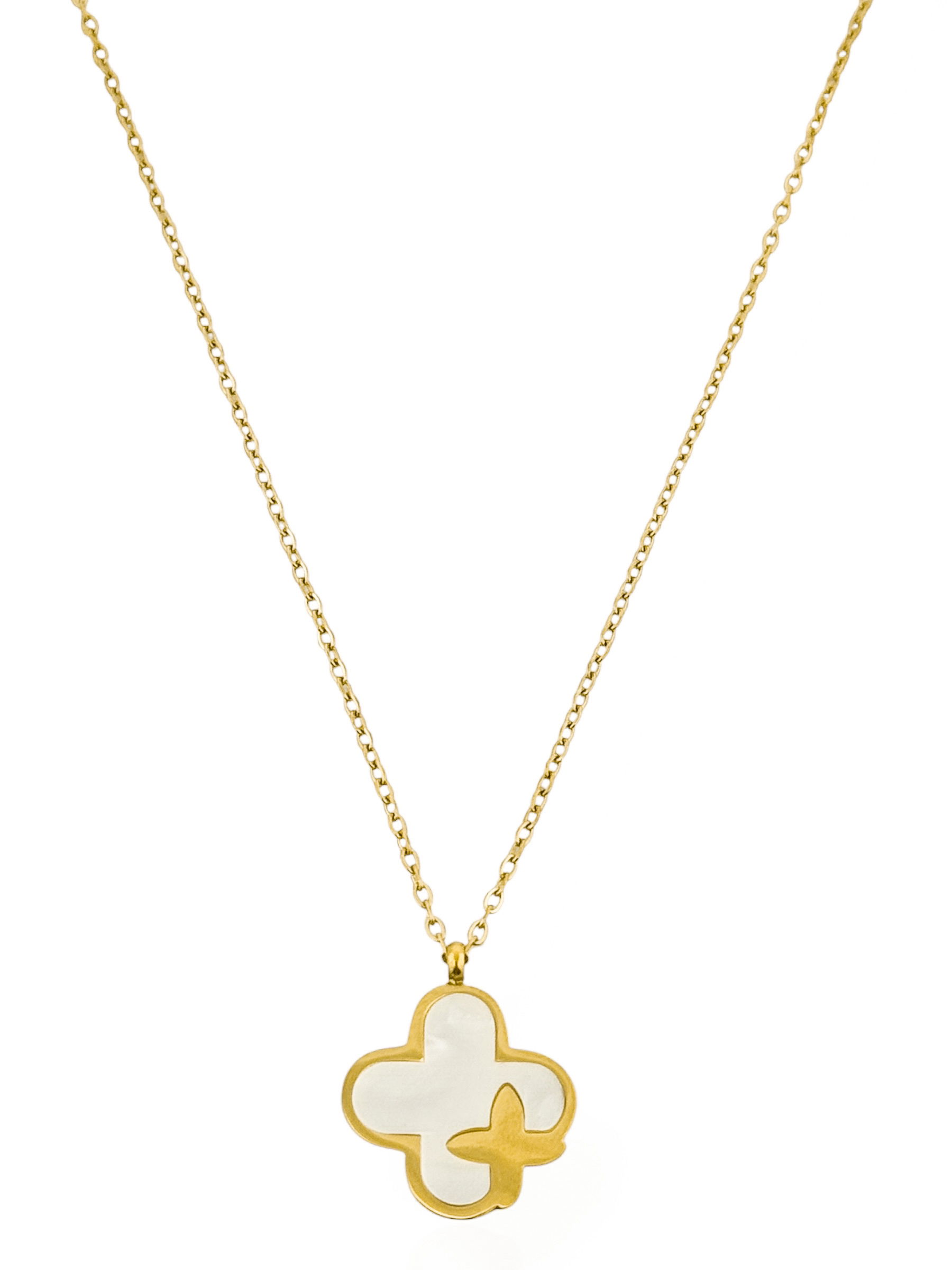 Colar Aço Inoxidável Folheado a Ouro 18k Inspiração Vg. Resinada