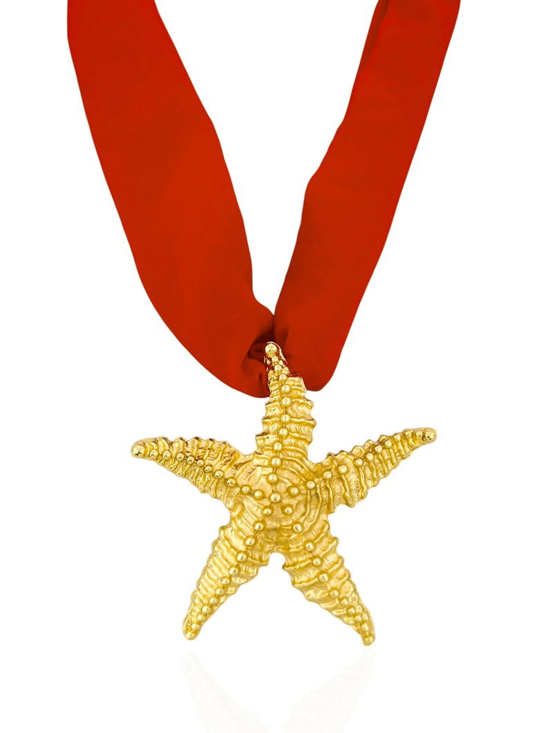 Colar Com Lenço Folheado a Ouro 18k Pingente Estrela do Mar
