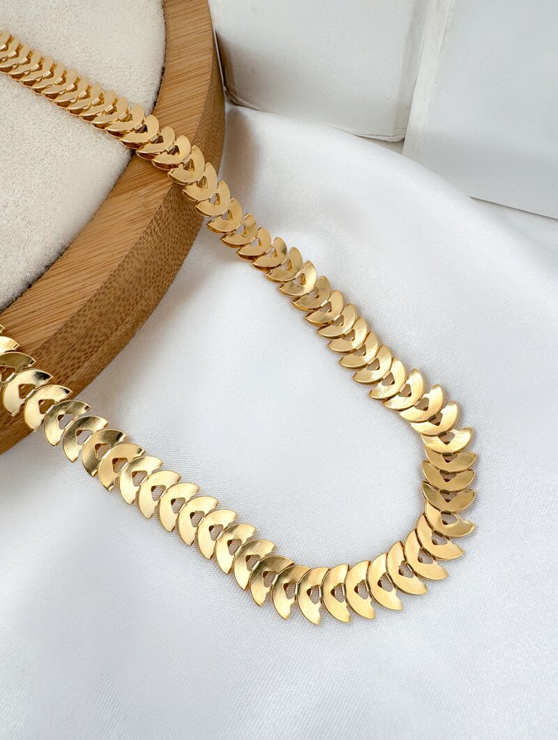 Colar Folheado a Ouro 18k Escamas Duplas