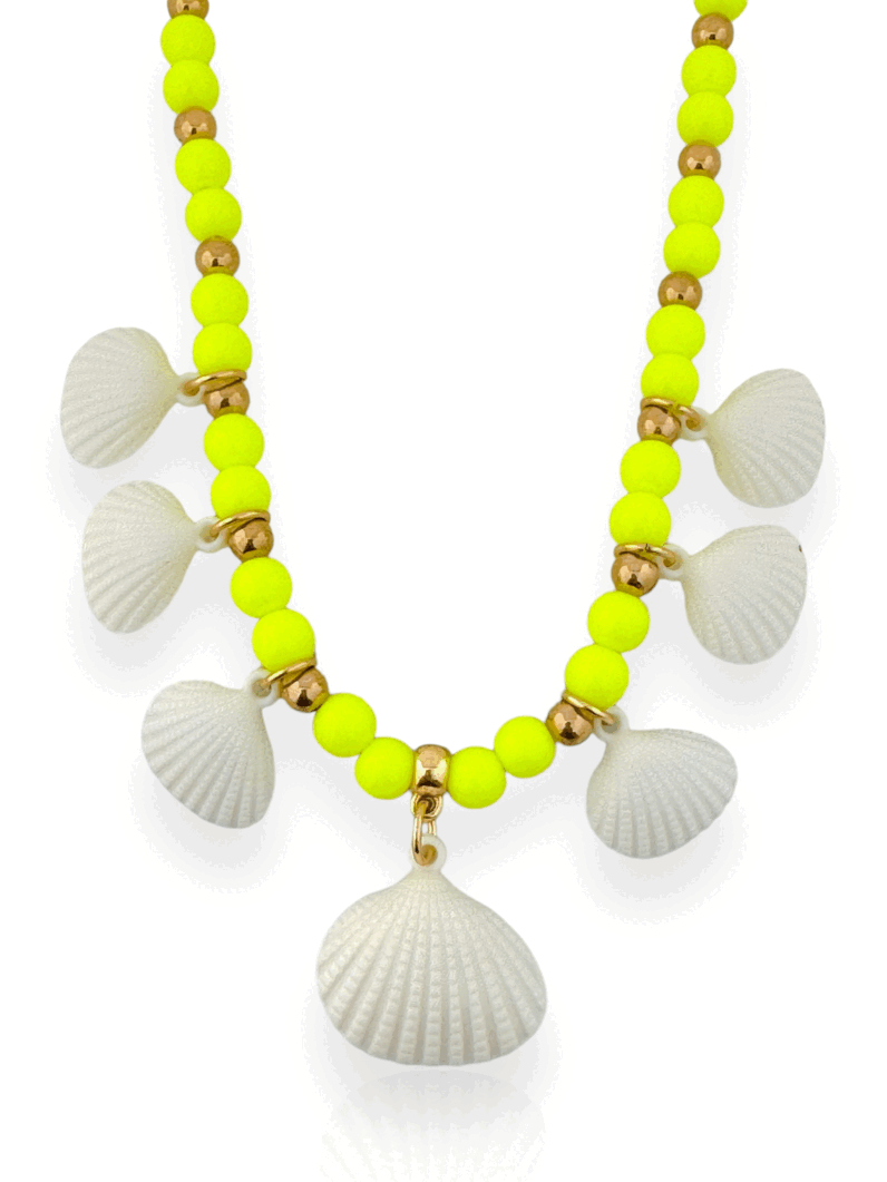 Colar Miçangas com Conchas