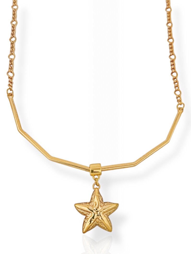 Colar Folheado a Ouro 18k Aro Com Estrela do mar