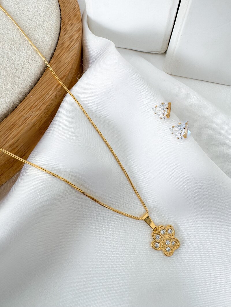 Conjunto Colar e Brinco Folheado a Ouro 18k Patinha Pet