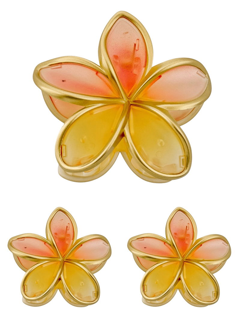Kit de Presilhas Folheadas a Ouro 18k Resinada Design Flores Coloridos