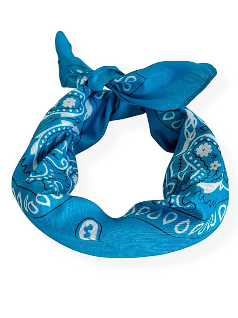 Lenço Estampado Cores Variadas