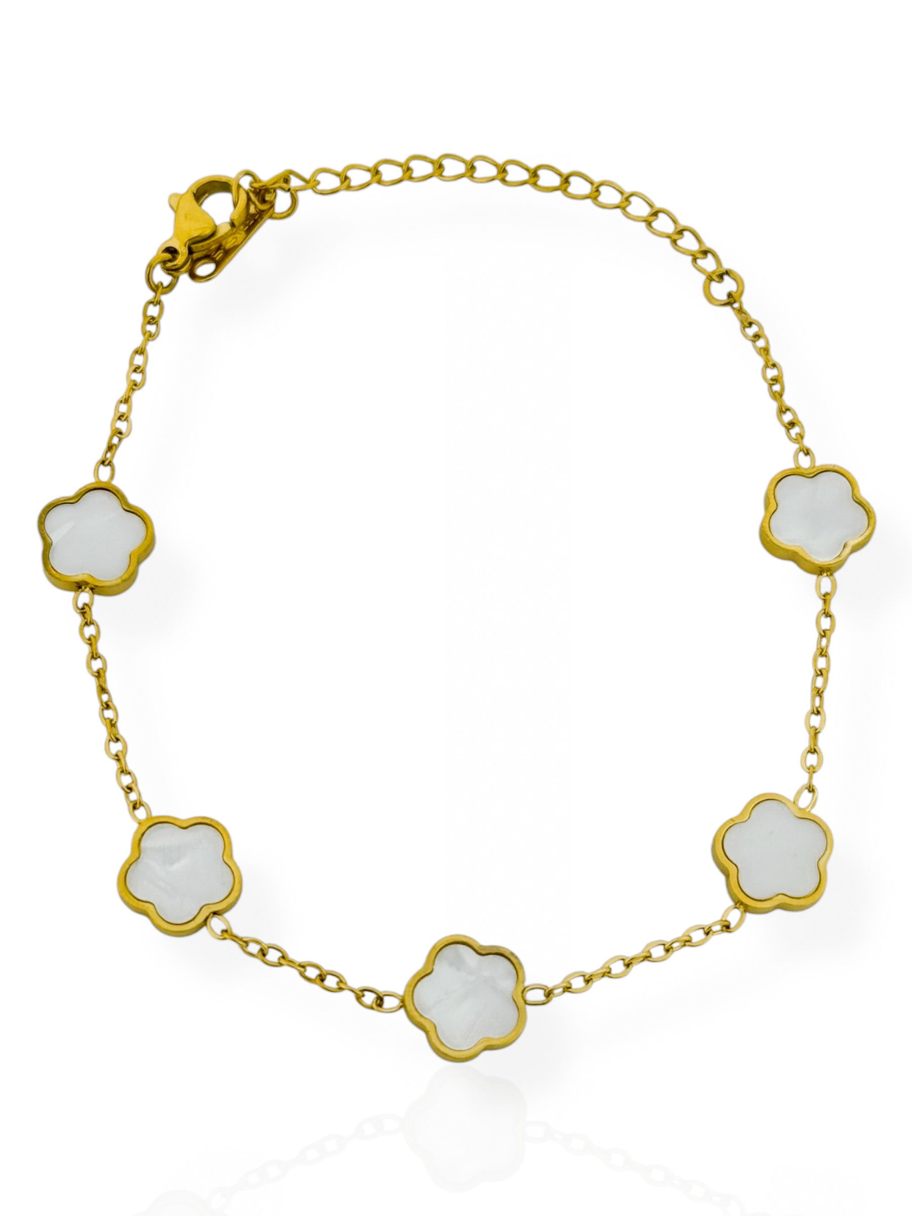 Pulseira Aço Inoxidável Folheada a Ouro 18k Inspiração Vg. Resinada Lisa