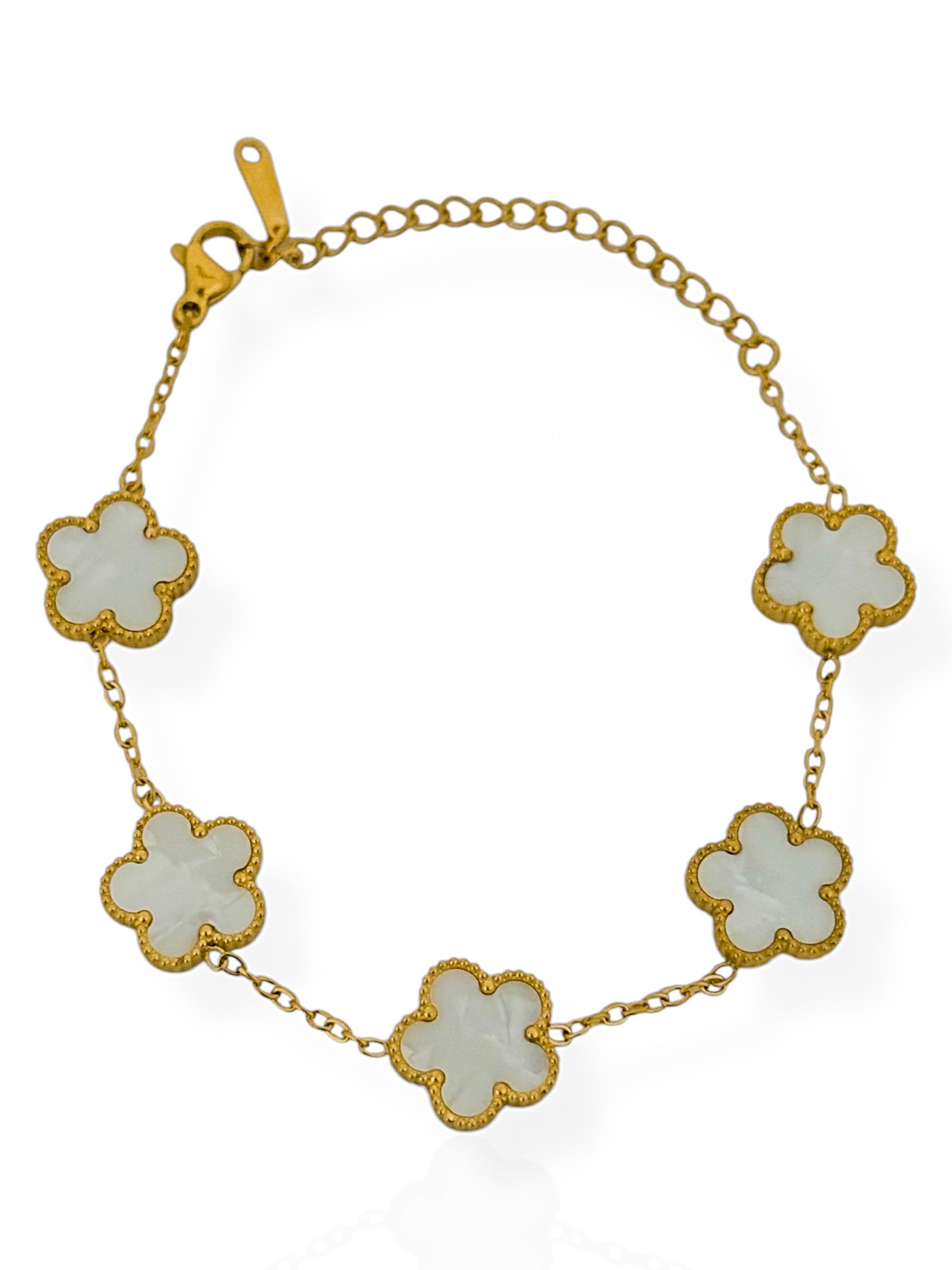 Pulseira Aço Inoxidável Ouro 18k Inspiração Vg. Resinado