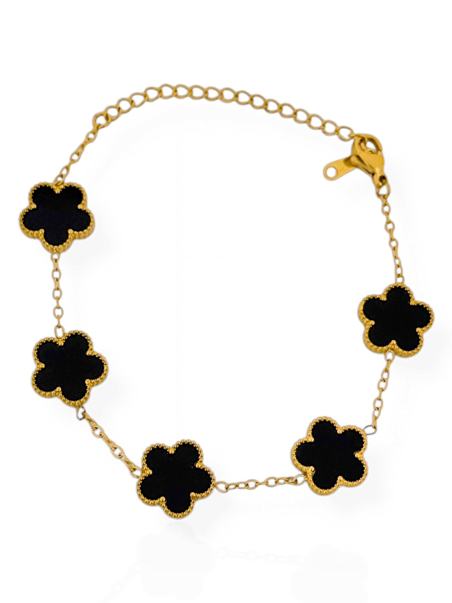 Pulseira Aço Inoxidável Ouro 18k Inspiração Vg. Resinado