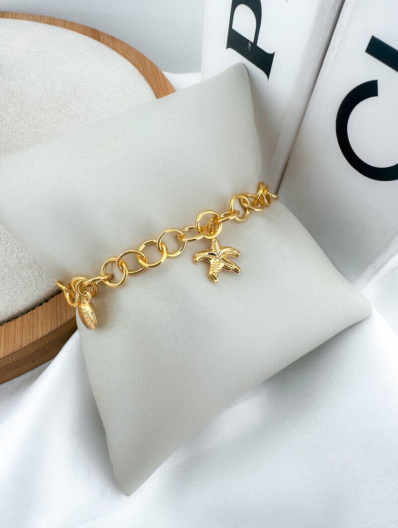 Pulseira Folheado a Ouro 18k e Prata 925 Elos Redondos com Pingentes Mar
